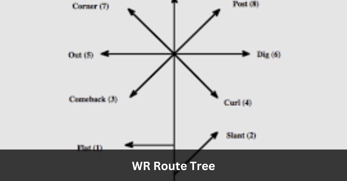 WR Route Tree –  A Beginner’s Guide!